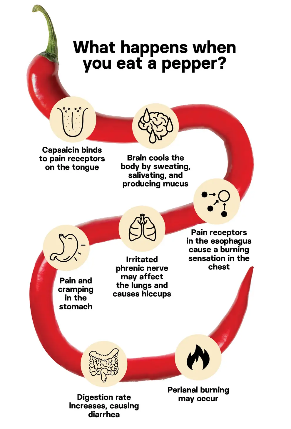Health Benefits of Hot Peppers