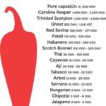 If you're a fan of spicy foods, you're probably familiar with the Scoville Heat Units