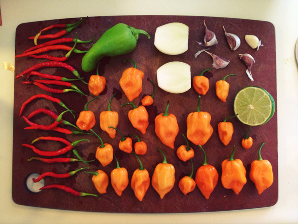 The Fascinating World of Hot Peppers