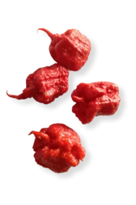 Scorn, is one of our hotter Sauces designed for the more adventurous palate.